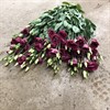LISIANTHUS AROSA RED DUBBEL