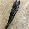 CORDYLINE BLACK TIE