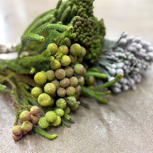 Övriga snittblommor